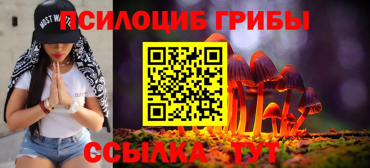 Галлюциногенные грибы ЛСД  где найти наркотики  Галлюциногенные грибы MAGIC MUSHROOMS  Ревда  Вход с VPN 