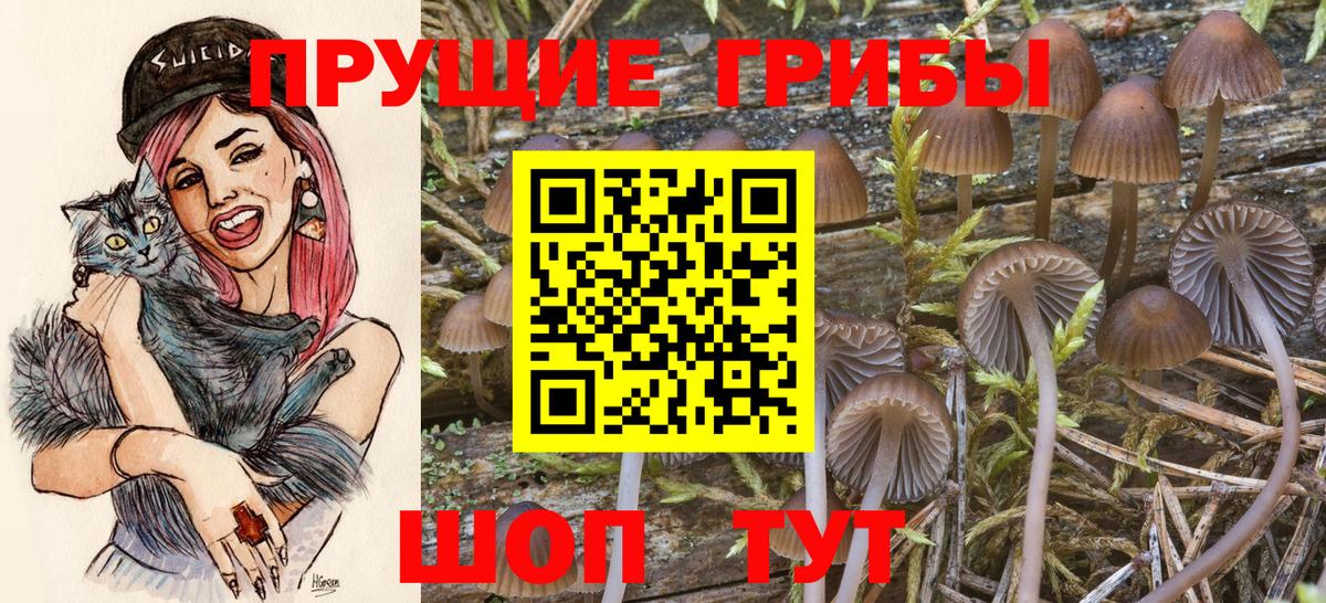 Галлюциногенные грибы прущие грибы Ревда